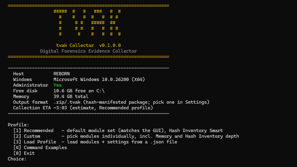CLI wizard banner and live dashboard